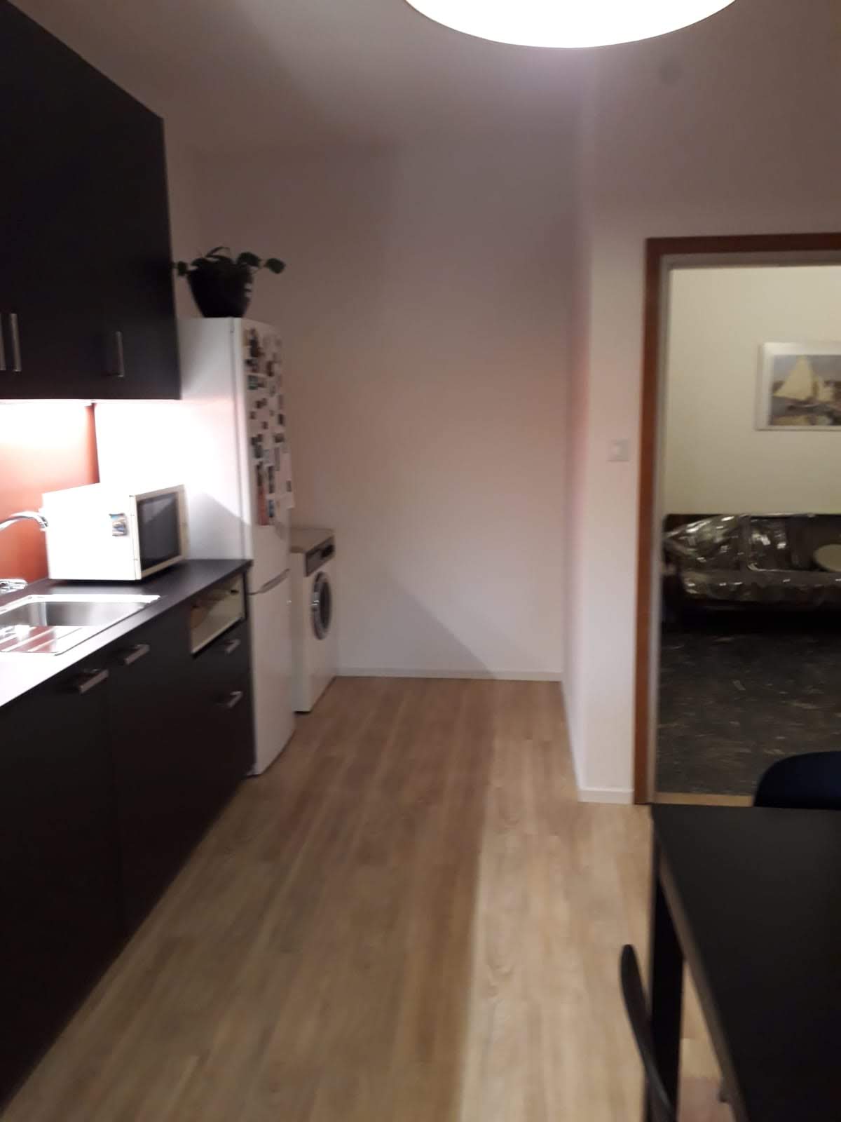 Foto dell'alloggio