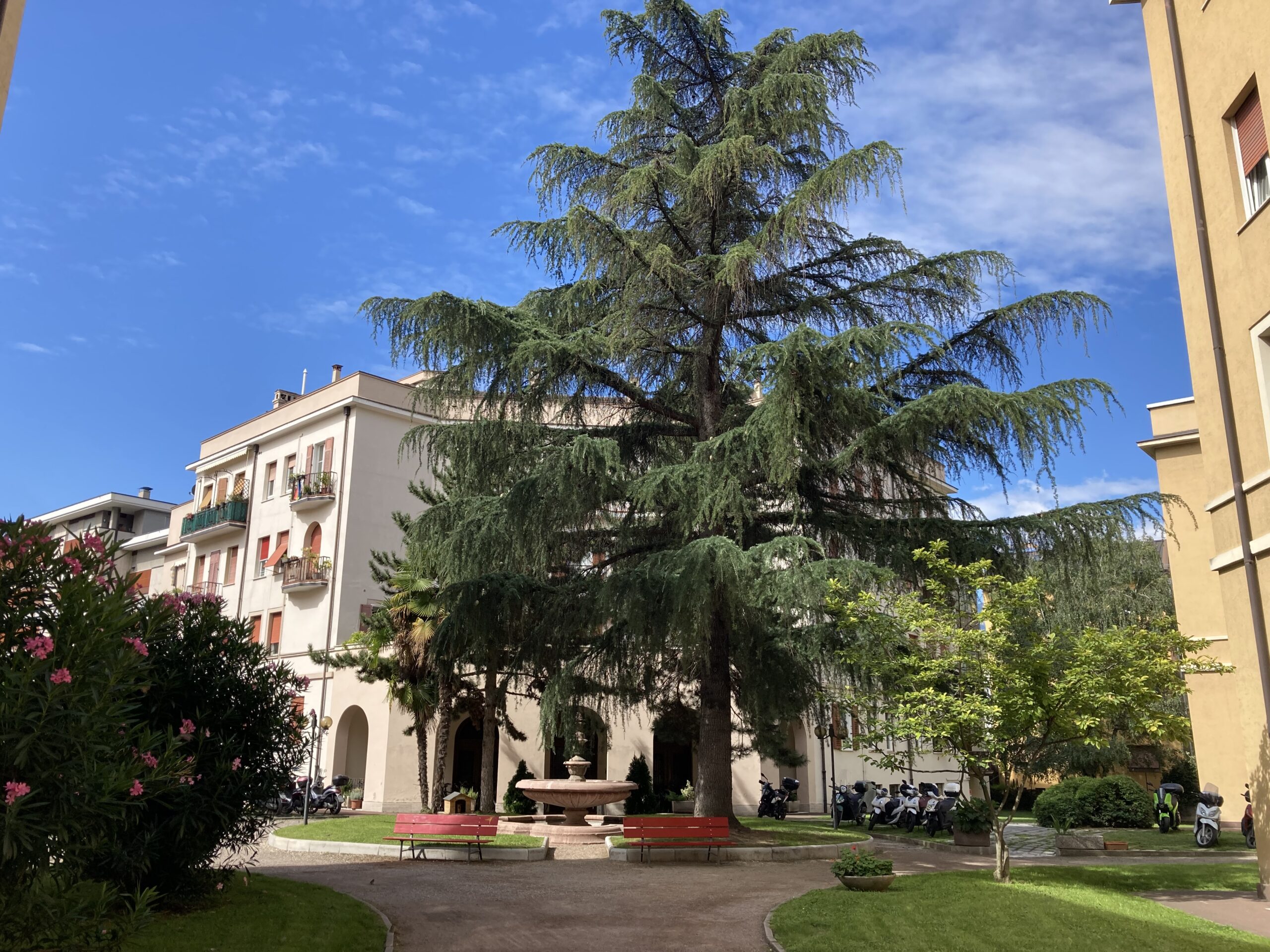 Foto dell'alloggio