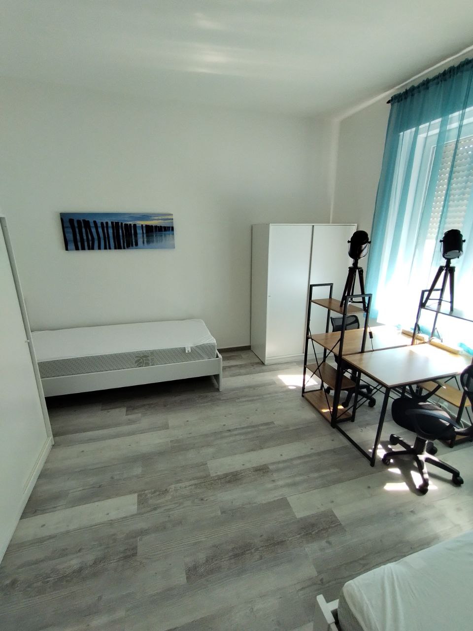 Foto dell'alloggio