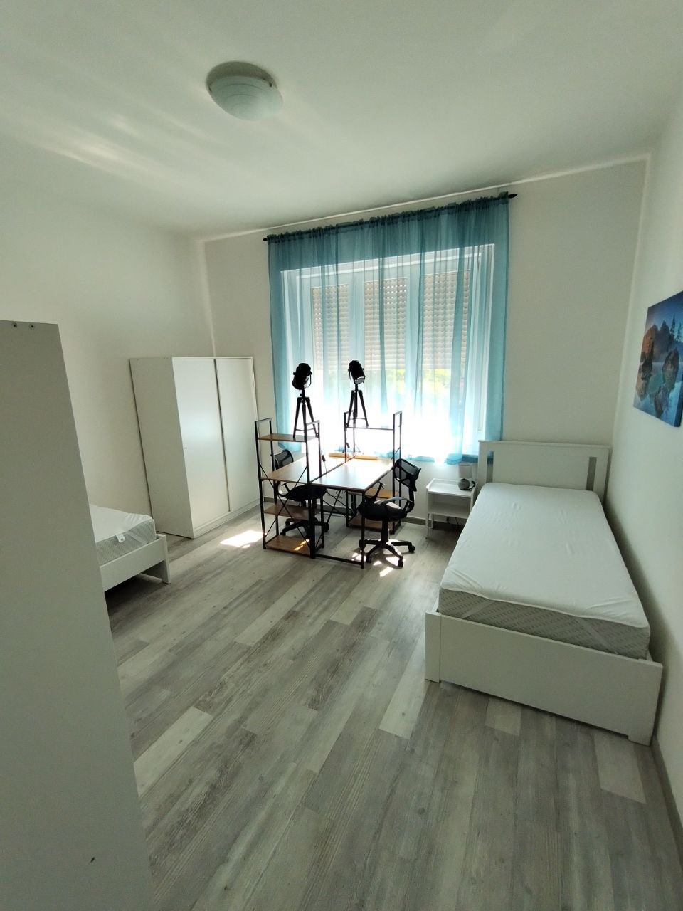Foto dell'alloggio
